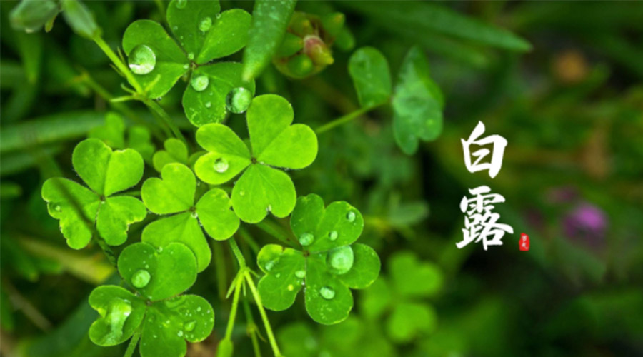 白露時節(jié)！ 金環(huán)電器提醒大家要注意這些事項