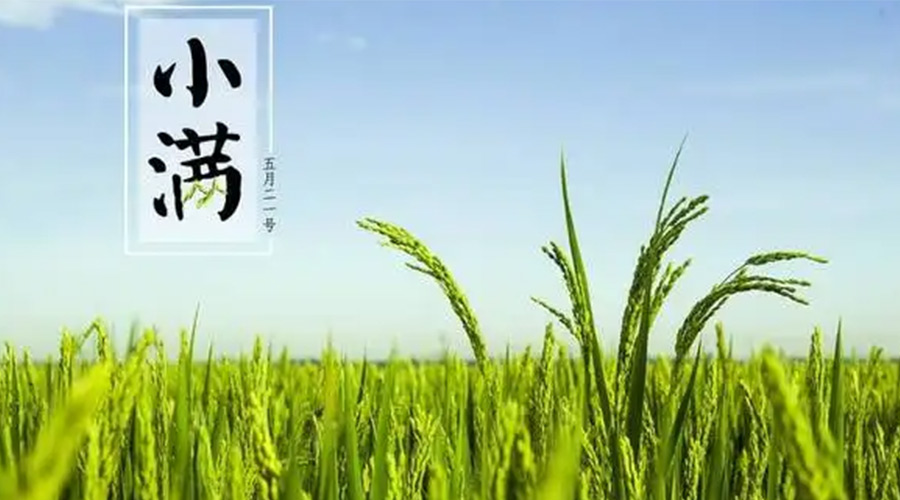 小滿時(shí)節(jié)！金環(huán)電器提醒大家要注意的事項(xiàng)
