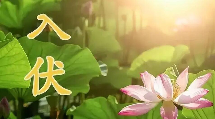 入伏天來(lái)襲！金環(huán)電器提醒大家要注意的事項(xiàng)