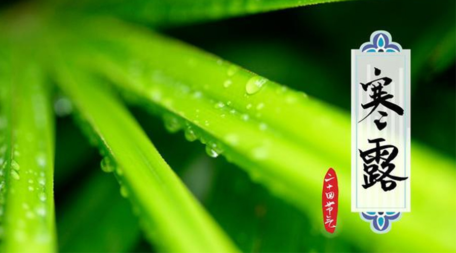 寒露時(shí)節(jié)到！金環(huán)電器提醒這些干衣事項(xiàng)要注意