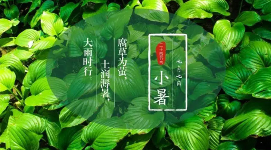 小暑時(shí)節(jié)來(lái)到！金環(huán)電器提醒大家要注意的事項(xiàng)