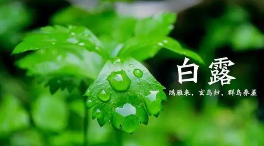 白露時(shí)節(jié)！金環(huán)電器提醒大家要注意的事項(xiàng)