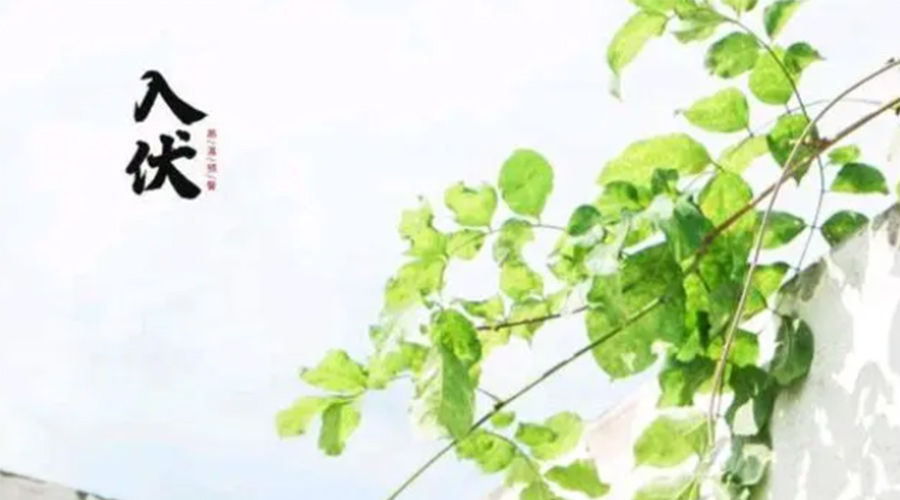 初伏時節(jié)！金環(huán)電器提醒大家要注意的事項