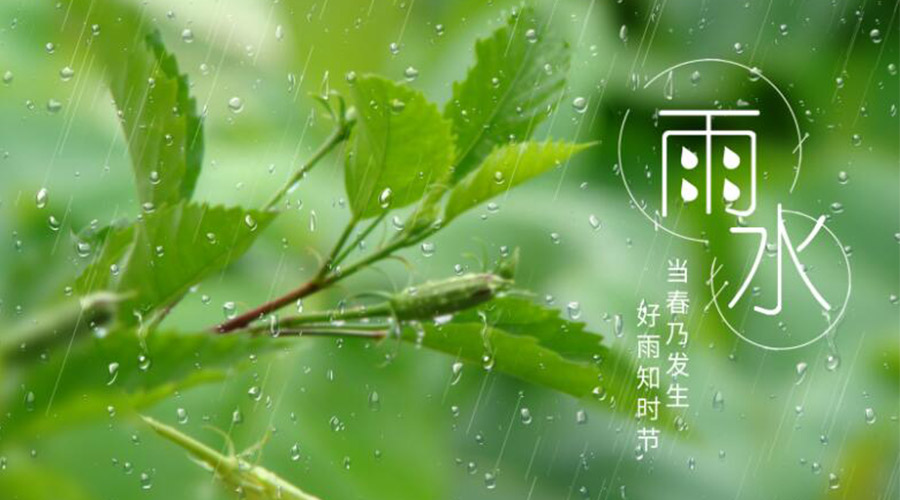 雨水時(shí)節(jié)！金環(huán)電器提醒大家要注意的事項(xiàng)