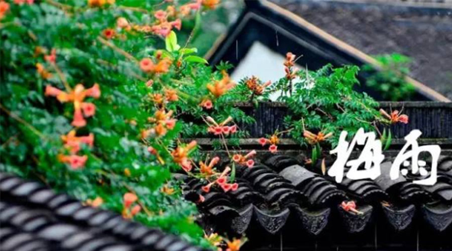 什么是梅雨？梅雨如何形成？  金環(huán)電器告訴你答案